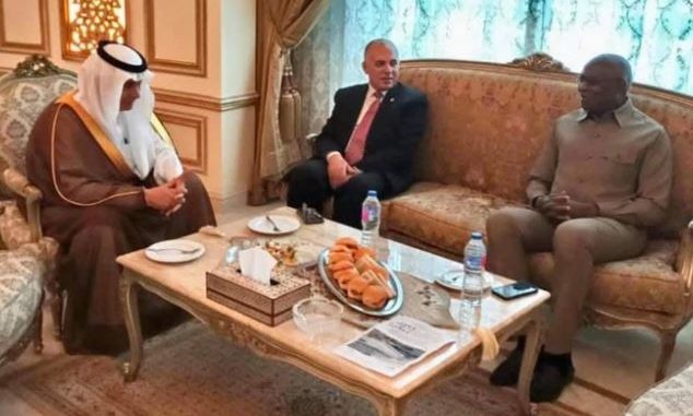 Réunion du conseil de l’Eau de l’OCI : Le Sénégal honoré au Caire