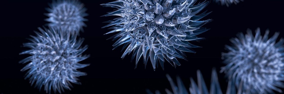 ZIGUINCHOR RIPOSTE COVID-19: un site identifié pour mettre en quarantaine le ou les cas suspects ZIGUINCHOR RIPOSTE COVID-19: un site identifié pour mettre en quarantaine le ou les cas suspects