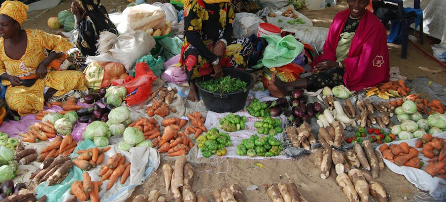 Tabaski 2020 à Ziguinchor / Le marché est bien approvisionné et les prix sont homologués.