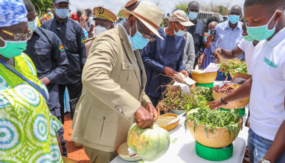 MACKY SALL : "IL FAUT RENFORCER LA PRÉSENCE DES TRACTEURS DANS LE MONDE RURAL"