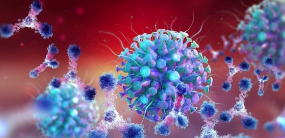 Détection souche britannique : Ce que prévoit le ministère de la Santé Détection souche britannique : Ce que prévoit le ministère de la Santé