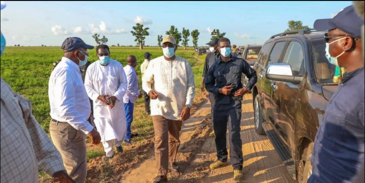 Ces goulots d’étranglement qui bloquent l’objectif d’autosuffisance en riz