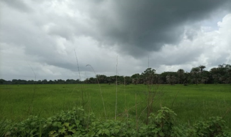 NIAGUIS : La foudre tue deux jeunes et blesse trois autres NIAGUIS : La foudre tue deux jeunes et blesse trois autres