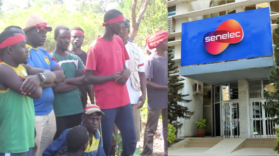Tension vive entre producteurs et Senelec autour du tracé de la ligne haute tension en Casamance Tension vive entre producteurs et Senelec autour du tracé de la ligne haute tension en Casamance