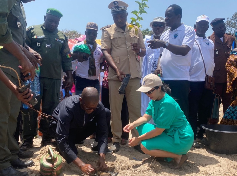 DIOGUÉ CÉLÈBRE LA JOURNÉE INTERNATIONALE DE L'ENVIRONNEMENT : UN APPEL À L'ACTION POUR LA RESTAURATION DES TERRES ET LA PROTECTION DE L'ÉCOSYSTÈME DIOGUÉ CÉLÈBRE LA JOURNÉE INTERNATIONALE DE L'ENVIRONNEMENT : UN APPEL À L'ACTION POUR LA RESTAURATION DES TERRES ET LA PROTECTION DE L'ÉCOSYSTÈME