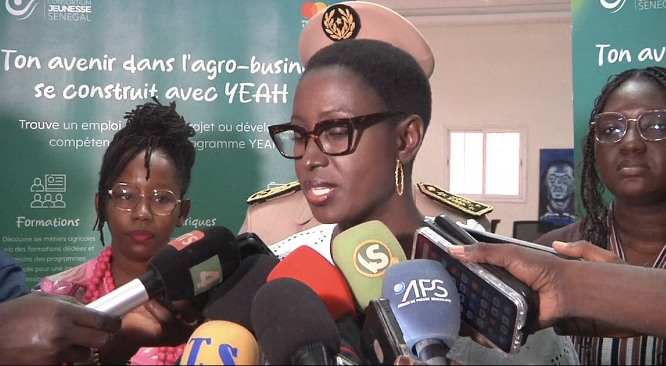 ZIGUINCHOR : Le ministère de la Jeunesse s’attaque au chômage et au décrochage scolaire des filles ZIGUINCHOR : Le ministère de la Jeunesse s’attaque au chômage et au décrochage scolaire des filles