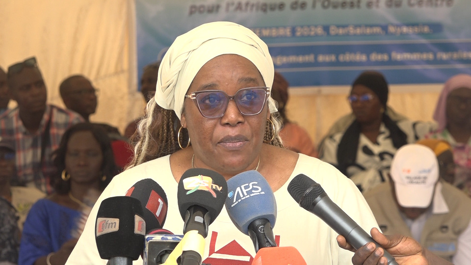 AUTONOMISATION DES FEMMES EN CASAMANCE : À DAR SALAM, ONU FEMMES MESURE LES FRUITS DE L’ACCOMPAGNEMENT AUTONOMISATION DES FEMMES EN CASAMANCE : À DAR SALAM, ONU FEMMES MESURE LES FRUITS DE L’ACCOMPAGNEMENT