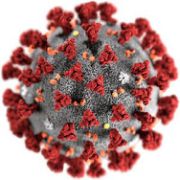 Deux nouveaux cas de coronavirus confirmés en France