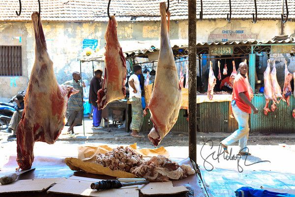 Ziguinchor:Conséquences/ covid-19: le prix du kg de la viande de mouton a flambé