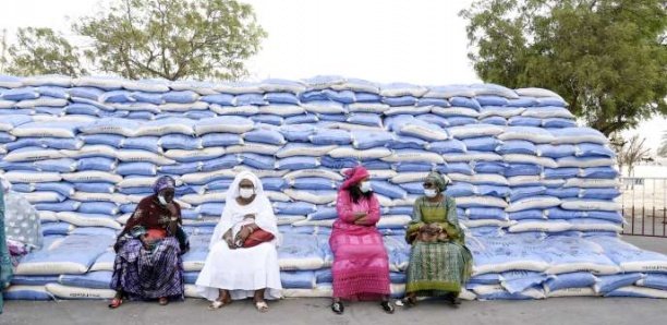 Au Sénégal, le long chemin vers l’autosuffisance en riz