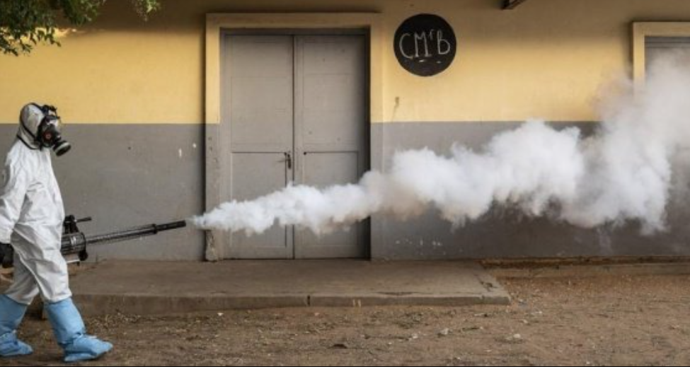 "99% des cas de grippe seraient positifs s'ils étaient testés au covid actuellement"
