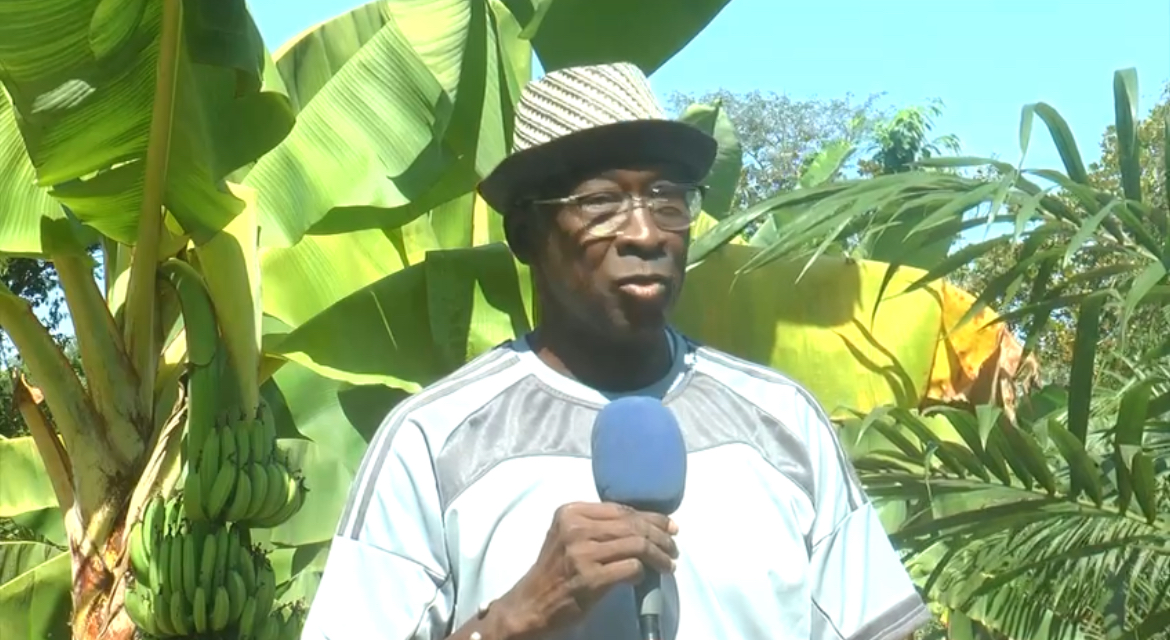 Crise politique en Guinée-Bissau : L'armée reprend le contrôle au détriment de la démocratie