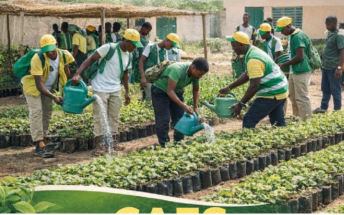 Initiative agroécologique au lycée de Tandouk portée par la JPS : l’école au cœur de la lutte environnementale et du développement local