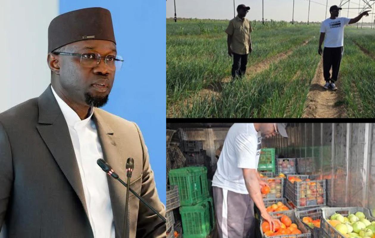 Tensions feutrées au sommet de l’État : Sonko répond à sa manière après les piques de la coalition Diomaye Président