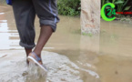 (VIDEO) ZIGUINCHOR BOUDODY : CRI DU COEUR DES SINISTRÉS VICTIMES DES INONDATIONS