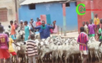 Ziguinchor : Cherté du mouton à l’approche de la Tabaski: il faut casquer 100 000 frs pour un agneau