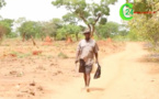 Insécurité : Le cri du cœur des paysans de la Casamance  