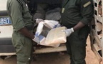 Sédhiou: 110 kilogrammes de chanvre indien saisis