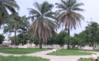 Ziguinchor : Disparition des espaces verts, Madia Diop Sané interpelle le Maire Abdoulaye Balde
