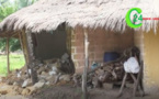 Casamance / Inondations : Au désespoir, les sinistrés demandent l'aide des autorités