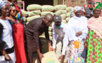 Dr IBRAHIMA MENDY: DIX TONNES DE CIMENT DISTRIBUÉ AUX POPULATIONS IMPACTÉS PAR LES INONDATIONS
