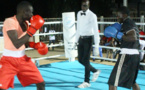 ZIGUINCHOR: REPRISE DES CHAMPIONNATS NATIONAUX DE BOXE DU SÉNÉGAL