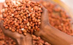 Campagne arachidière: l'Etat fixe le kilogramme à 280 FCFA