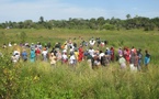 Reportage : La Récolte de Riz et l’Espoir Renouvelé à Abene après l’exploitation du Zircon