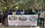 Commune de Niamone : Le village de Tobor maintient son « non » catégorique au projet de décharge d'ordures