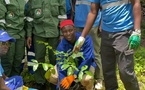 Journée de l’Arbre à Bignona : Le Cadre de Vie Appelle à une Mobilisation Citoyenne Régulière pour Préserver les Forêts de Casamance