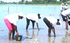 ​BALANDINE : LA BATAILLE POUR SAUVER LA MANGROVE ET L’ÉCONOMIES LOCALE
