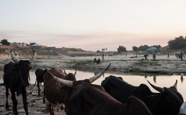 Sommet africain sur le climat : "Au Tchad, on enregistre déjà 48°C à l’ombre"