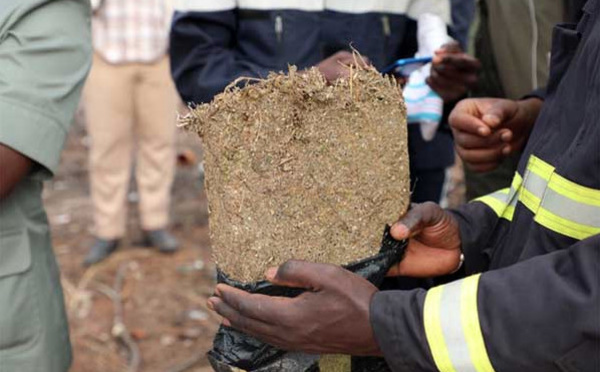 Situation de la lutte contre le trafic de drogue du mois de juin : 108 kg de chanvre saisis et 31 personnes appréhendées