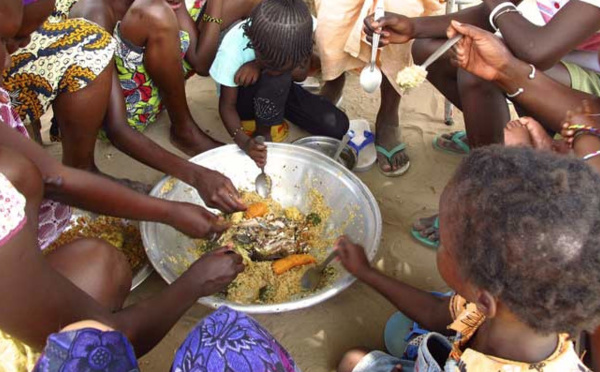 RAPPORT – Insécurité alimentaire : LE SÉNÉGAL, UN CAS GRAVE – La Fao, le Pam, l’Unicef et l’Oms s’inquiètent
