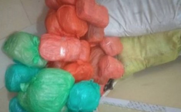 Sédhiou : 55 kg de chanvre indien saisis à la frontière guinéenne