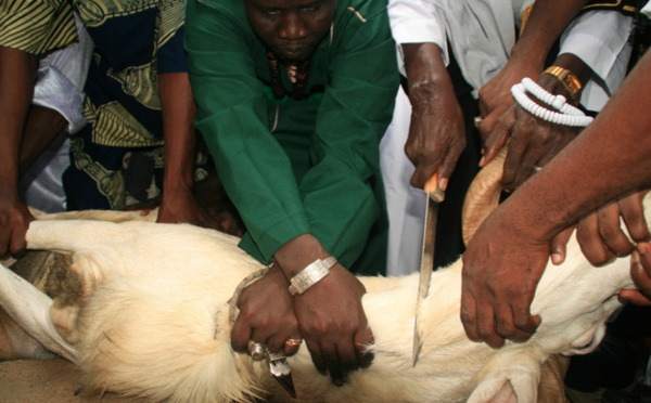 L’Etat dégage 93 milliards pour le paiement des salaires et des avances Tabaski dès ce vendredi