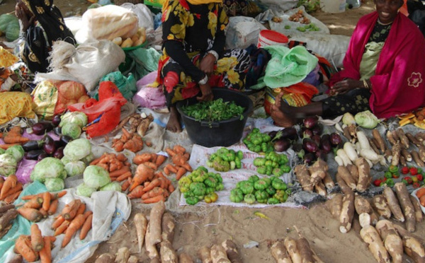 Tabaski 2020 à Ziguinchor / Le marché est bien approvisionné et les prix sont homologués.