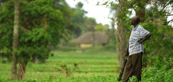 Boutoupa-Camaracounda: Les 2 corps étaient bien ceux des portés disparus, qu’en est-il du troisième ?