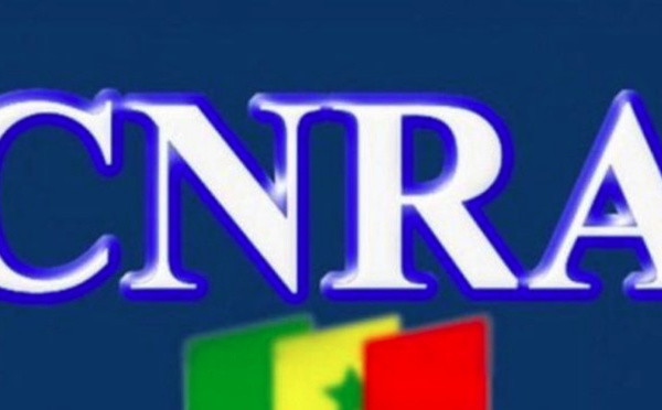 A fond dans la bêtise…