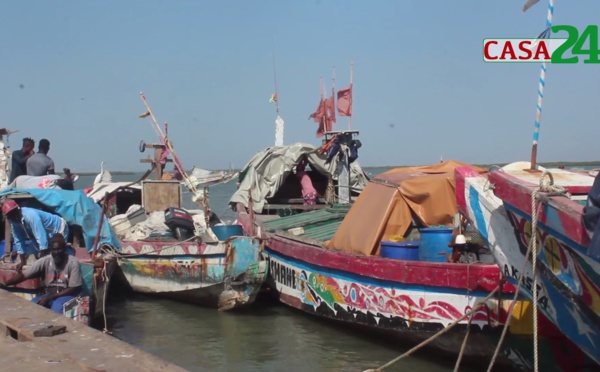 ZIGUINCHOR: PLAIDOYER POUR UNE COLLABORATION JUSTE ENTRE PÊCHEURS DU SÉNÉGAL ET GUINÉE