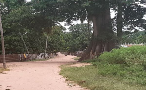 SIBIKOUROTO : UN TRÉSOR CACHÉ EN CASAMANCE 