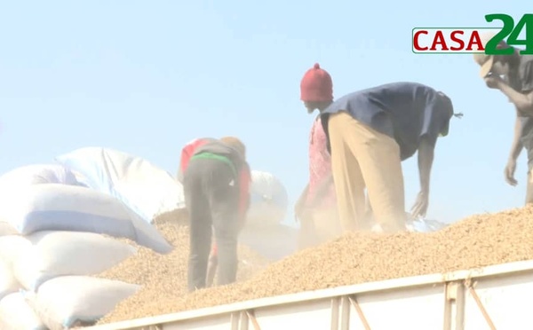 ​ZIGUINCHOR LANCE LA CAMPAGNE AGRICOLE 2024-2025 : LE RESPECT DES PRIX AU CŒUR DE L’ACTION