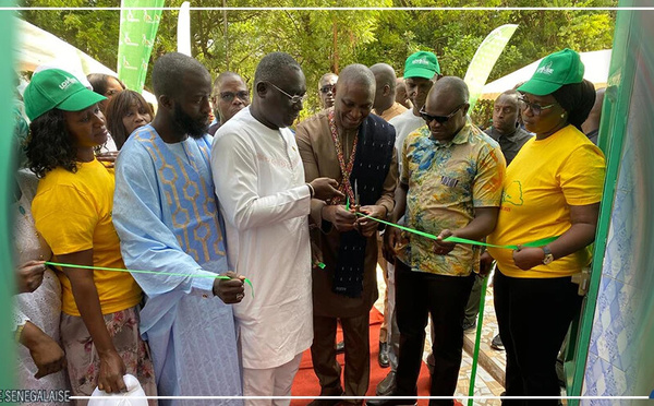 Inauguration de la nouvelle agence de la Loterie nationale sénégalaise à Bignona : Un pas vers plus de proximité avec les citoyens