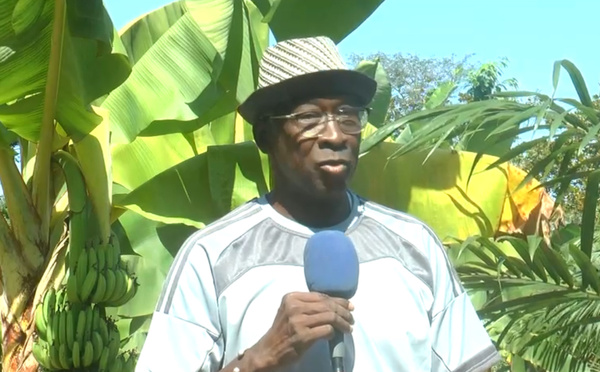 Crise politique en Guinée-Bissau : L'armée reprend le contrôle au détriment de la démocratie