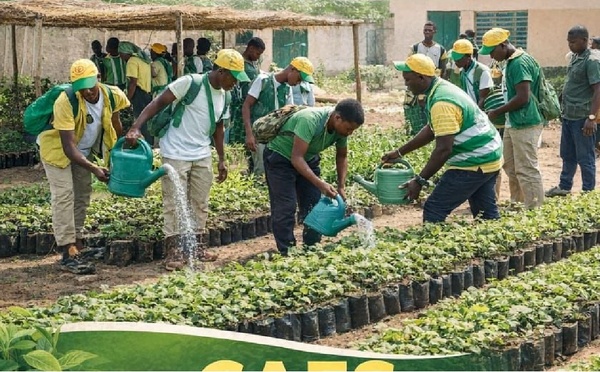 Initiative agroécologique au lycée de Tandouk portée par la JPS : l’école au cœur de la lutte environnementale et du développement local