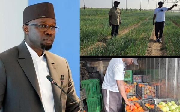 Tensions feutrées au sommet de l’État : Sonko répond à sa manière après les piques de la coalition Diomaye Président