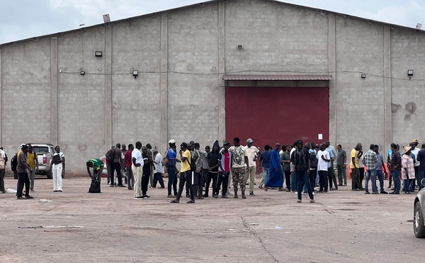 Filière anacarde à Ziguinchor : Les opérateurs décrètent un arrêt de travail et rejettent une nouvelle taxe « imposée »