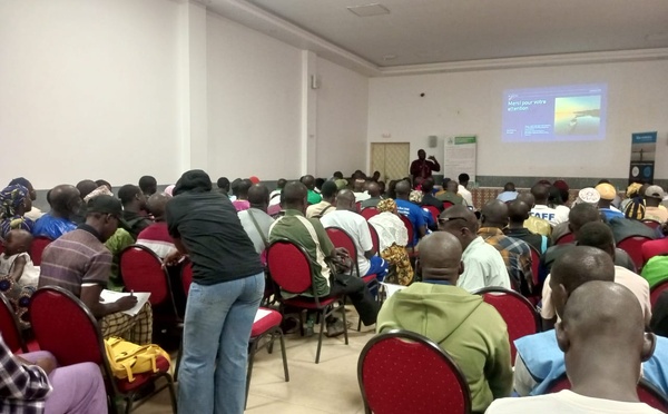 GESTION DES PÊCHERIES EN CASAMANCE : LES COMMUNAUTÉS AU CŒUR DE LA COLLECTE DE DONNÉES SCIENTIFIQUES POUR SAUVER LA RESSOURCE