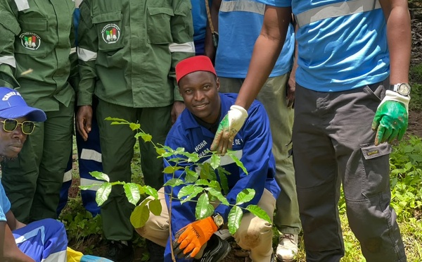 Journée de l’Arbre à Bignona : Le Cadre de Vie Appelle à une Mobilisation Citoyenne Régulière pour Préserver les Forêts de Casamance