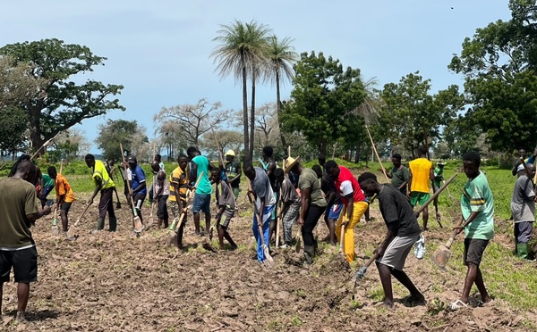 Bignona : À Diagobel, l'engagement exemplaire de la jeunesse pour la souveraineté alimentaire face au défi de la mécanisation